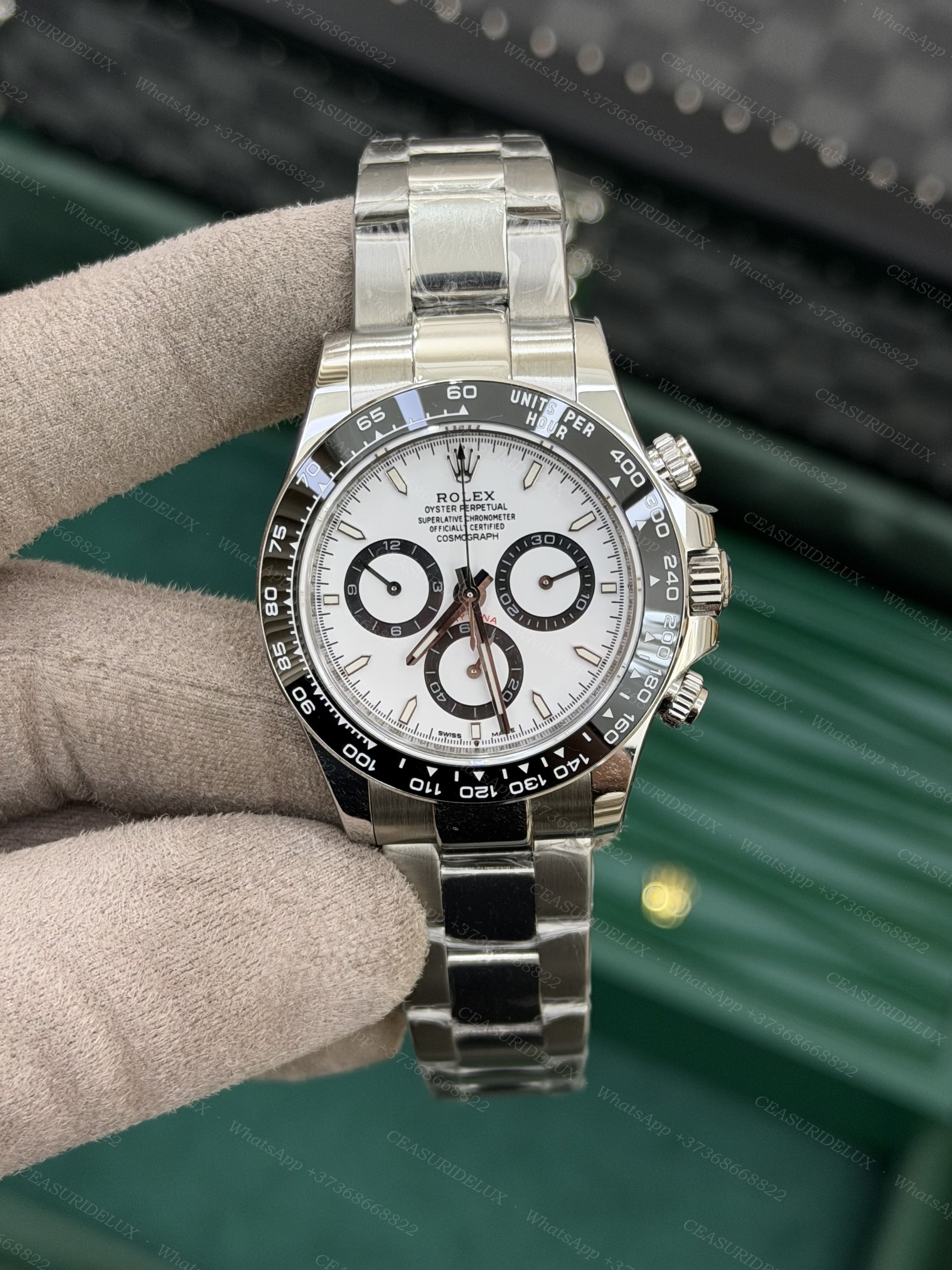 Rolex Daytona  Panda Background