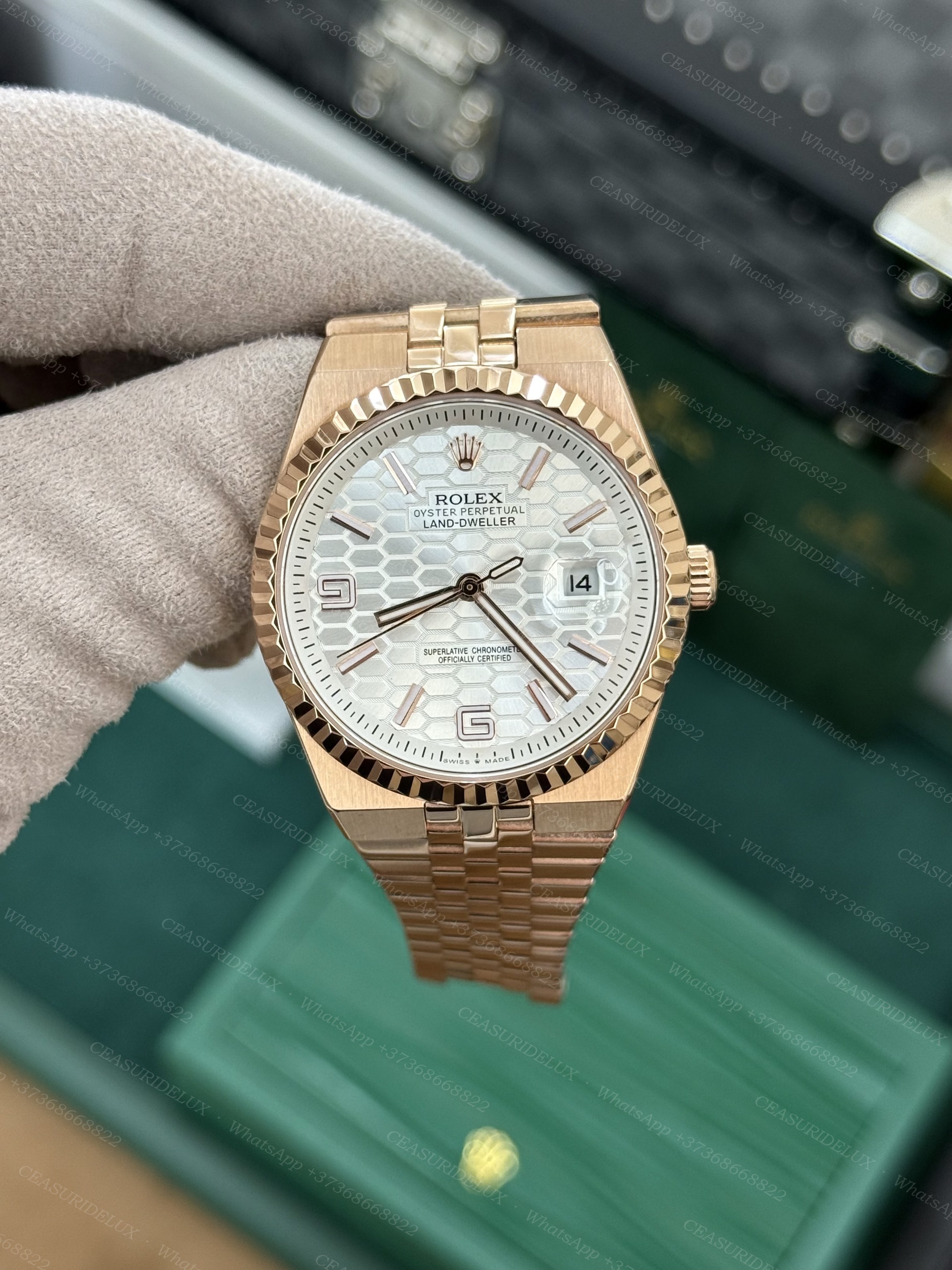 Rolex Land-Dweller 40